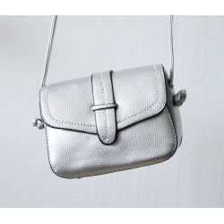 Sac à main besace pour femme - Couleur Gris argenté