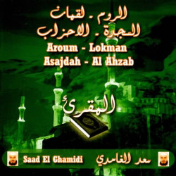 Le Coran récité par cheikh Al-Ghâmîdî - Sourates Arroum - Louqman - Assajdah - Al Ahzâb...