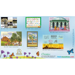 Pack of 6 Large Bilingual Educational Puzzles (French / Arabic)