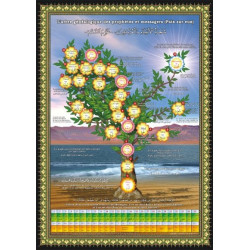 Poster : L'arbre généalogique des prophètes et des messagers (français / arabe)