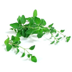 Marjolaine en feuilles - Bardkouch Mardakouch - sachet de 10 g net