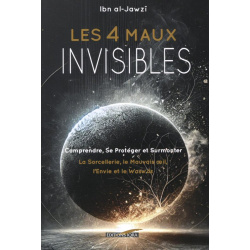 Les 4 Maux Invisibles
