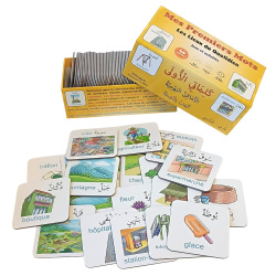 Mes Premiers Mots : Les Lieux du Quotidien (66 cartes bilingues français/arabe) - Jeux...