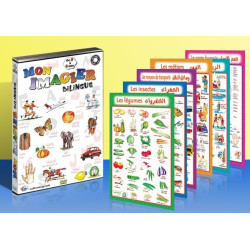 Pack DVD Mon imagier bilingue + 10 posters